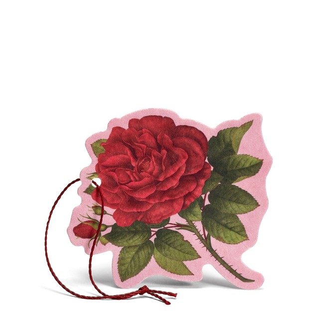 LERBOLARIO Rosa Puprurea - Fiore Profumato Multiuso  Αρωματικό Λουλούδι πολλαπλών χρήσεων
